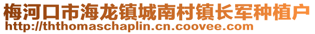 梅河口市海龍鎮(zhèn)城南村鎮(zhèn)長(zhǎng)軍種植戶
