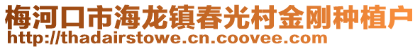 梅河口市海龍鎮春光村金剛種植戶