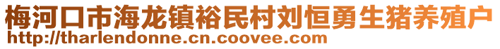 梅河口市海龍鎮裕民村劉恒勇生豬養殖戶