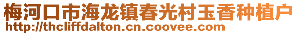 梅河口市海龍鎮春光村玉香種植戶
