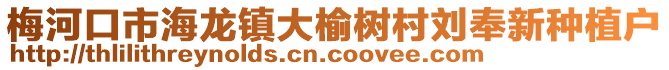梅河口市海龍鎮大榆樹村劉奉新種植戶