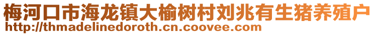 梅河口市海龍鎮大榆樹村劉兆有生豬養殖戶