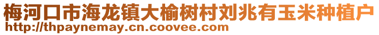 梅河口市海龍鎮大榆樹村劉兆有玉米種植戶
