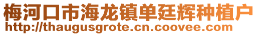 梅河口市海龍鎮單廷輝種植戶