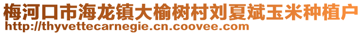 梅河口市海龍鎮大榆樹村劉夏斌玉米種植戶