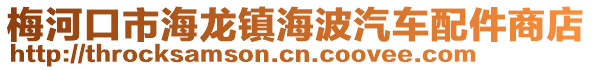 梅河口市海龍鎮海波汽車配件商店