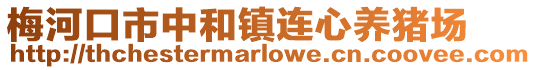 梅河口市中和鎮連心養豬場