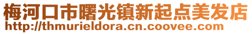 梅河口市曙光鎮新起點美發店