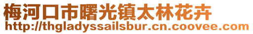 梅河口市曙光鎮太林花卉