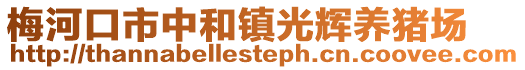 梅河口市中和鎮光輝養豬場