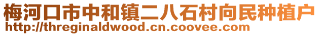 梅河口市中和鎮(zhèn)二八石村向民種植戶