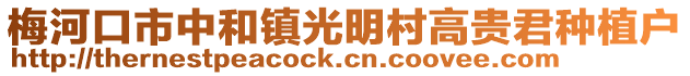 梅河口市中和鎮光明村高貴君種植戶