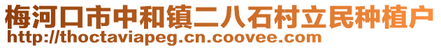 梅河口市中和鎮(zhèn)二八石村立民種植戶