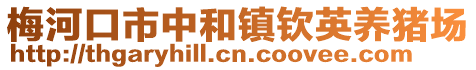 梅河口市中和鎮欽英養豬場