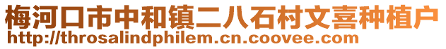 梅河口市中和鎮(zhèn)二八石村文喜種植戶