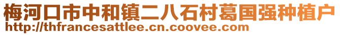 梅河口市中和鎮(zhèn)二八石村葛國強(qiáng)種植戶