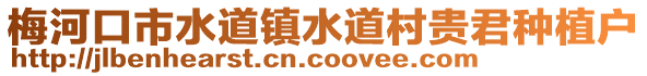 梅河口市水道鎮(zhèn)水道村貴君種植戶