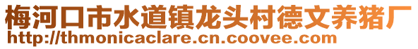 梅河口市水道镇龙头村德文养猪厂