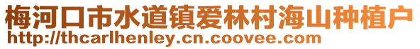 梅河口市水道鎮(zhèn)愛(ài)林村海山種植戶