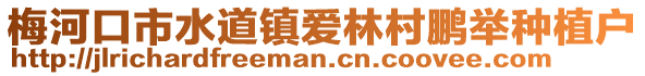 梅河口市水道鎮(zhèn)愛林村鵬舉種植戶