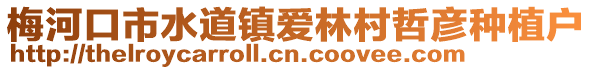 梅河口市水道鎮(zhèn)愛林村哲彥種植戶