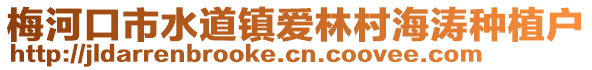 梅河口市水道镇爱林村海涛种植户