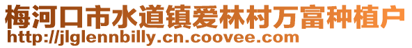 梅河口市水道鎮(zhèn)愛林村萬富種植戶