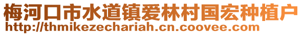 梅河口市水道鎮(zhèn)愛林村國宏種植戶