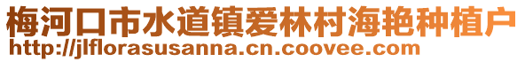 梅河口市水道鎮(zhèn)愛林村海艷種植戶