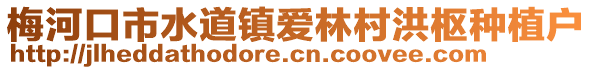 梅河口市水道镇爱林村洪枢种植户