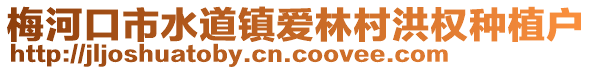 梅河口市水道鎮(zhèn)愛(ài)林村洪權(quán)種植戶