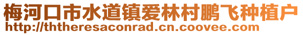 梅河口市水道鎮(zhèn)愛(ài)林村鵬飛種植戶