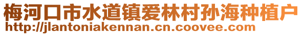 梅河口市水道鎮(zhèn)愛林村孫海種植戶