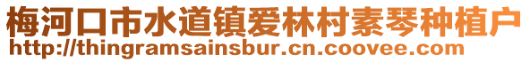 梅河口市水道鎮(zhèn)愛林村素琴種植戶