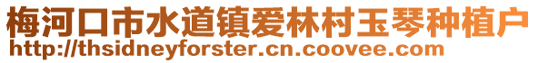 梅河口市水道鎮(zhèn)愛林村玉琴種植戶