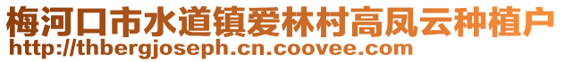 梅河口市水道镇爱林村高凤云种植户