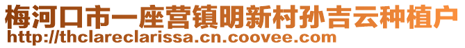 梅河口市一座營鎮(zhèn)明新村孫吉云種植戶