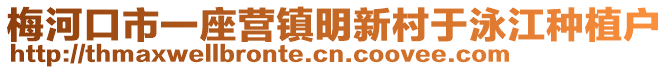 梅河口市一座營鎮(zhèn)明新村于泳江種植戶