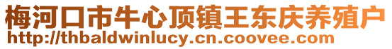 梅河口市牛心頂鎮(zhèn)王東慶養(yǎng)殖戶