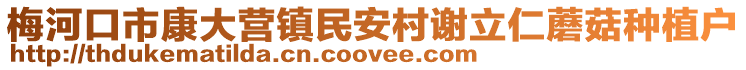 梅河口市康大營鎮民安村謝立仁蘑菇種植戶