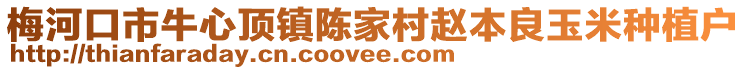 梅河口市牛心頂鎮(zhèn)陳家村趙本良玉米種植戶