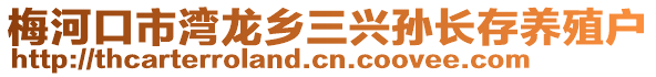 梅河口市灣龍鄉(xiāng)三興孫長存養(yǎng)殖戶