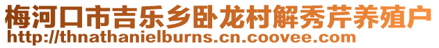 梅河口市吉樂鄉(xiāng)臥龍村解秀芹養(yǎng)殖戶