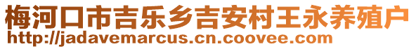 梅河口市吉樂鄉(xiāng)吉安村王永養(yǎng)殖戶