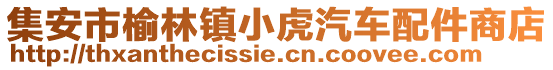 集安市榆林鎮(zhèn)小虎汽車配件商店