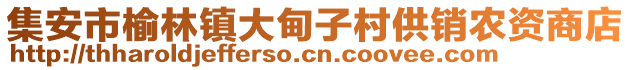 集安市榆林鎮(zhèn)大甸子村供銷農(nóng)資商店