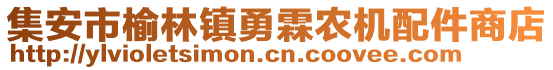 集安市榆林鎮(zhèn)勇霖農(nóng)機(jī)配件商店