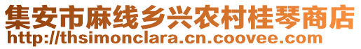 集安市麻線鄉(xiāng)興農(nóng)村桂琴商店