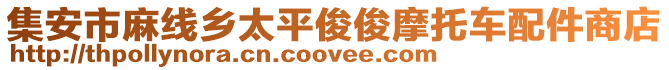 集安市麻線鄉(xiāng)太平俊俊摩托車配件商店