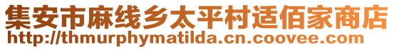 集安市麻線鄉(xiāng)太平村適佰家商店